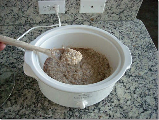 Crockpot Oats2