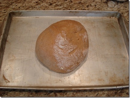 risen dough (640x480)